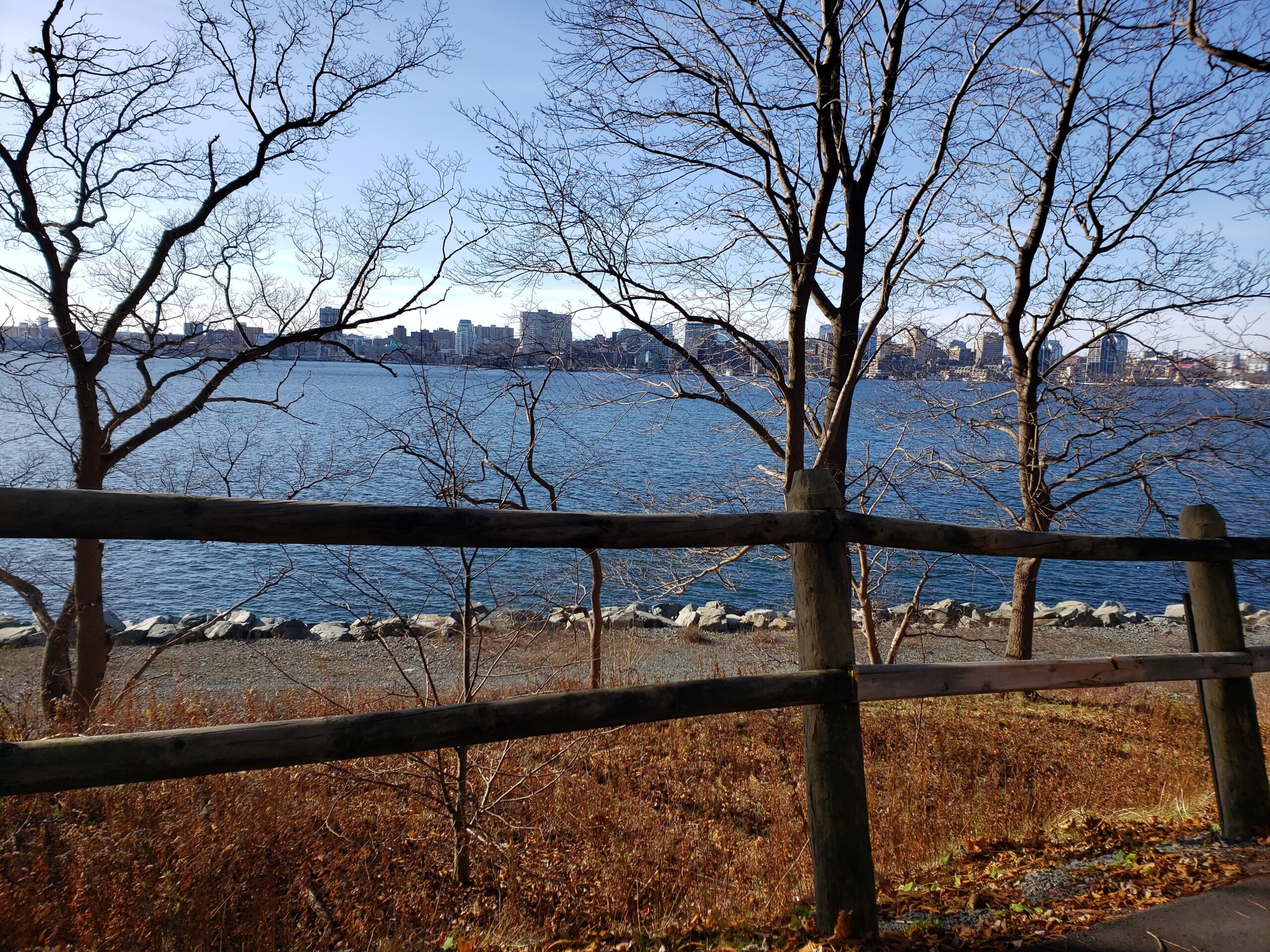 View of Halifax from Dartmouth harbour trail